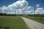 br-442/874553/442-265-als-s1-neumarktoberpfalz-bei 442 265 als S1 Neumarkt/Oberpfalz bei Plling. 20.05.24