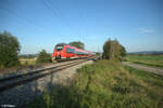 443 606 zieht als S1 39192 Neumarkt/Oberpfalz - Bamberg bei Pölling.