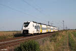 463 525 als S6 38608 Meckesheim - Wiesbaden HBF bei Frankenthal. 01.09.24