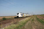 463 547 + 463 577-7 als S6 38631 Mainz - Bensheim bei Frankenthal.
