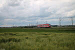 br-648-3/876148/648-315-9-als-leerreise-bei-uffenheim 648 315-9 als Leerreise bei Uffenheim in Richtung Süden. 27.05.24