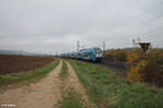 2462 006-4/ 106-2 erreicht Treuchtlingen als RE80 57161 Würzburg - München 01.11.24