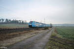 Nachschuss auf 2463 130 als RE80 57211 Würzburg - Treuchtlingen bei Oberdachstetten. 08.12.24