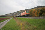 2019 309-4 zieht mit einem Kesselzug bei Thüngersheim in Richtung Würzburg. 20.10.24