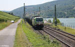 193 402 zieht vor Lorch am Rhein ein Kesselzug in Richtung Norden. 20.07.24