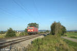 143 176-6 rollt Lz in Richtung Norden bei Pölling. 28.08.24