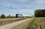 182 911 zieht bei Pölling ein Schwaiger Holzzug aus Hengersberg in Richtung Norden. 17.10.24
