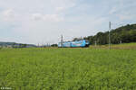 2463 032 als RE80 57161 Würzburg - Treuchtlingen bei Oberdachstetten.