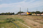 1440 686 (ET 186) und 1440 670 (ET 170)als HLB RB75 28718 Aschaffenburg - Wiesbaden an der Netztrennstelle Mainz Bischofsheim. 01.09.24