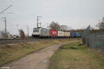 lineas-7/847653/186-385-1-mit-einem-containerzug-in 186 385-1 mit einem Containerzug in der Treuchtlinger Kurve in Nürnberg Hohe Marter. 18.02.24
