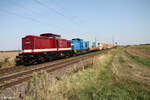 204 354-5 + 204 033 ziehen einen Bauzug bei Frankenthal. 01.09.24