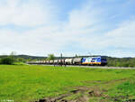 187 317-3  Mitarbeiter verbindet  mit einem Getreidezug bei Pölling in Richtung Passau. 28.04.24