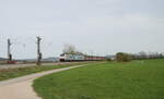 186 503-9 + 186 457-8 ziehen bei Pölling ein langen H-Wagen Zug.