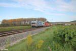 6193 147-6 zieht vor Retzbach-Zellingen ein Containerzug nach Süden.