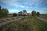 145 028-7 zieht mit einem Containerzug bei Pölling in Richtung Norden. 17.10.24