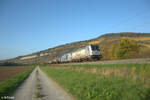 187 073-2 + 248 058-0(kalt) zieht mit einem Kesselzug bei Thüngersheim in Richtung Süden. 27.10.24