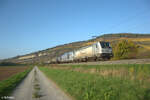 187 073-2 + 248 058-0(kalt) zieht mit einem Kesselzug bei Thüngersheim in Richtung Süden. 27.10.24