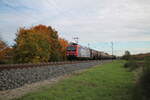 482 025-4 zieht mit einem Gaskesselzug bei Thüngersheim in Richtung Norden. 21.10.24