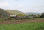 V180.08 alias 203 161-5 zieht mit einem Niederboardwagen Zug d´bei Wernfeld in Richtung Süden. 20.10.24