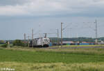 193 997  Pferde  + 193 212  Driving Future  ziehen ein Löblein Container Müllzug bei Uffenheim in Richtung Süden. 27.05.24