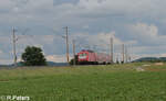 114 006 als RE80 GoAhead Ersatzverkehr nach Würzburg bei Uffenheim. 27.05.24