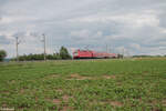 114 006 als RE80 GoAhead Ersatzverkehr nach Würzburg bei Uffenheim. 27.05.24