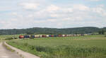 WLE 82 alias 187 010 zieht mit dem Warsteinerzug aus München bei Oberdachstetten in Richtung Norden. 08.06.24