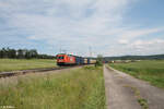 WLE 82 alias 187 010 zieht mit dem Warsteinerzug aus München bei Oberdachstetten in Richtung Norden. 08.06.24