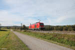 249 013 Lz bei Pölling auf dem Weg nach Regensburg.