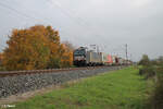 X4E 612 alias 193 612 zieht mit einem Containerzug in Richtung Nordn bei Thüngersheim.