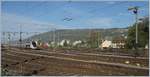 Leider stand der TGV Lyria 4411 etwas sehr weit entfernt, um ihn im Rangierbahnhof von Biel zwischen zwei Semaphor-Ausfahrsignalen zu fotografieren. 

24. April 2019