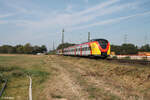 ET170 als HLB RB75 28717 Wiesbaden - Aschaffenburg an der Netztrennstelle Mainz-Bischofsheim. 01.09.24