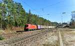 br-1016/848036/1016-044-8-mit-ein-gz-in 1016 044-8 mit ein GZ in Ochenbruck. 09.03.24