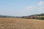 1116 276-7 zieht ein LKW-Walter Zug kurz vor Treuchtlingen bei Wettelsheim gen Süden.