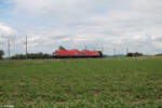 1016 044-0 + 1116 180-1 fahren als Lokzug bei Uffenheim in Richtung Süden. 27.05.24