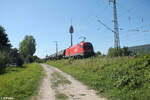 1116 169-2 zieht mit einem Kesselzug durch die Treuchtlinger Kurve in Nürnberg Hohe Marter 11.08.24