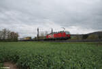 1293 017-8 Sattelaufliegerzug bei Himmelstadt.