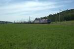 1216 940 und 383 209 mit einem Getreidesilozug bei Oberdachstetten.
