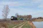 ER20-013 der Beacon Rail für die SETG mit dem Sonntags verkehrenden Holzzug (Borkenkäfertaxi) auf dem Weg von Cheb nach Regensburg südlich von Wiesau. 11.04.21