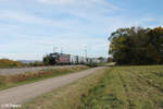 5370 070-2 alias 6193 239 zieht bei Plling einen Helrom Zug in Richtung Norden. 17.10.24