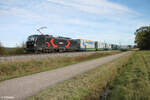 5370 070-2 alias 6193 239 zieht bei Plling einen Helrom Zug in Richtung Norden. 17.10.24
