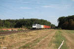 186 421-4 zieht mit einem Containerzug durch die Netztrennstelle Mainz Bischofsheim. 01.09.24