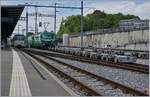 BAM MBC Rollbockimpressionen in Morges 9.