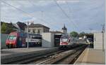 In Schaffhausen wartet der SBB RABe 511 023 als RE nach Zürich auf die Abfahrt. Zwischenzeitlich sind die Leistungen mehrheitlich auf die neuen RABe 512 übergegangen.

8. Juni 2022