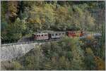 La DER 2019 (Saison Abschluss 2019) Die BOB HGe 3/3 29 der Blonay - Chamby Bahn ist mit dem BOB C3 N° 6  Kaiserwagen  und dem NStCm C4 N° 7 ist bei Vers-Chez-Robert auf dem Weg nach Blonay. 

27. Okt. 2019 