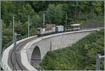 Les chemins de fer disparus - Die verschwundenen Bahnen (LLB 1915 - 1967); wie befürchtet verdeckt die nachwachsende Vegetation recht rasch den Blick auf das neu sanierte Baye de Clarens Viadukt. Nicht desto trotz gelange es mir doch noch den Leuk Leukerbad Bahn (LLB) Triebwagen mit der Anschrift ABFe 2/4 N° 10 der Blonay Chamby Bahn auf dem Weg nach Blonay auf dem Baye de Clarens Viadukt zu fotografieren. 

13. September 2025Wie 