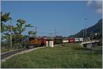 50 Jahre Blonay Chamby - MEGA BERNINA FESTIVAL: Das RhB Bernina Krokodil Ge 4/4 182 und der RhB ABe 4/4 35 sind mit dem Riviera Belle Epoque bei Châtelard VD unterwegs nach Montreux.