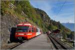 TMR (M-C) BDeh 4/8 21 (SNCF Z800 UIC N� 90 85 838 0821-1 CH-TMRSA) in Le Tr�tien.