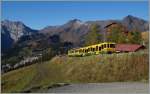 Ein bergwärts fahrender WAB Zug gleich oberhalb der Station Wengeralp.