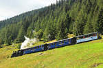 Abstieg nach Oberwald.